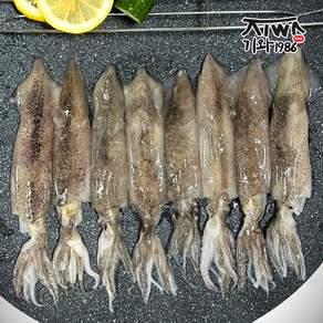 기와 1986 총알 한치 500g 4팩 (총 2kg) (팩당 15~25미 내외), 4세트