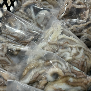 싱싱해몰 산지직송 100% 자연산 서해 활 낙지 살아있을때 냉동 한 국산 낙지, 1개, 낙지 냉동 2kg