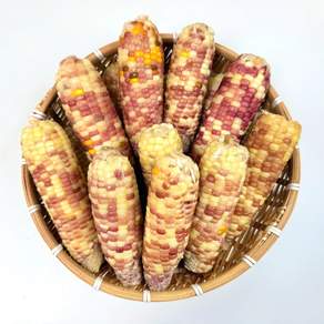 쫀득한 옥수수 홍찰옥수수 급냉, 1개, 2.4kg (15개입)