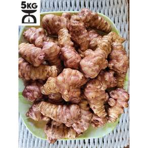 월야천지 국산 햇 돼지감자(세척), 1개, 돼지감자(세척)5kg