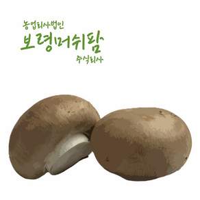 [보령머쉬팜]양송이버섯 1kg 2kg 가정용 직접재배, 1개, 갈색양송이파지1kg