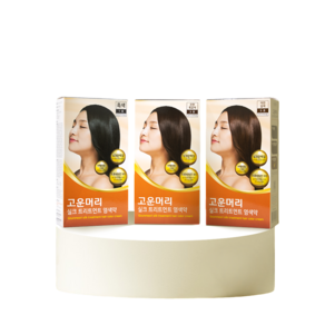 고운머리 실크 트리트먼트염색약 새치커버용 60g, 자연갈색 5호, 3개
