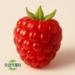 [오감프레시] 봄담은 산딸기 생과 산지직송, 1개, 250g