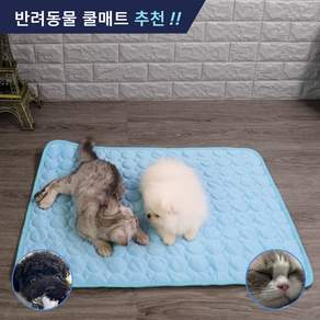 제이셀르 시원한 반려동물 쿨매트 강아지 여름매트, Blue(60x50), 1개