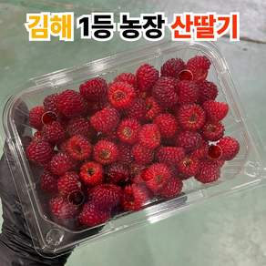 [김해1등농장] 프리미엄 산딸기 고당도 생과 특품, 1세트, 500g (특품)