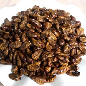 번데기 1kg 냉동번데기 길거리 간식의 대표 365일 안심포장 쪽빛누리, 1개