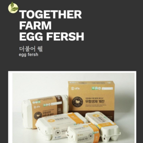푸드번창 무항생제 신선 계란10구, 1개, 10구