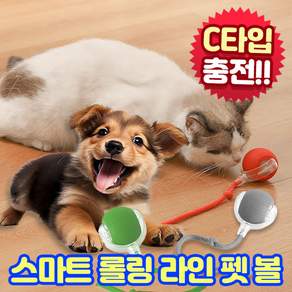 앤트앤비 스마트 롤링 라인 펫 볼 강아지 고양이 장난감, 1개, 레드