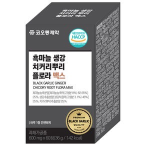 뉴트리코스트 진저 루트 생강 뿌리 추출물 캡슐, 240정, 1개 - 기타