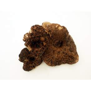 냉동 능이버섯 A급 1kg