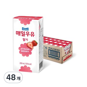 매일 멸균우유 딸기, 200ml, 48개