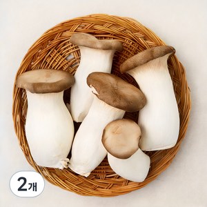 친환경 뿌리가 손질된 새송이버섯, 400g, 2개