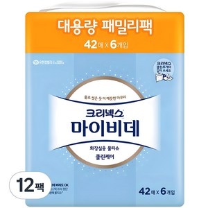 마이비데 클린케어 화장실용 물티슈 휴대형 패밀리팩, 42매입, 12개