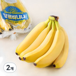 신세계푸드 에콰도르 달콤 바나나, 2개, 1.2kg 내외