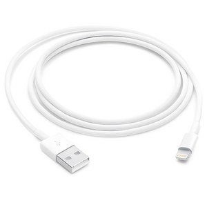 Apple Lightning-USB 케이블 MUQW3FE/A, 1m, 화이트, 1개