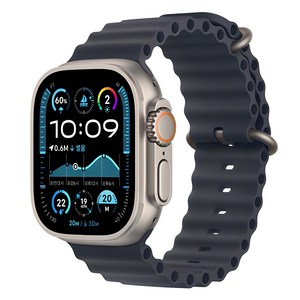 Apple 정품 2024 애플워치 Ulta 2 티타늄 오션 밴드, 49mm, GPS+Cellula, 내추럴 / 네이비, Regula