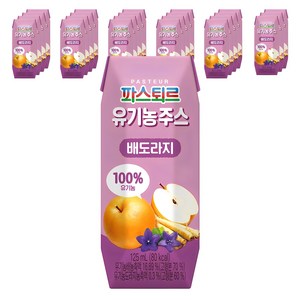 파스퇴르 유기농주스, 125ml, 24개