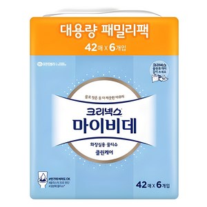 마이비데 클린케어 화장실용 물티슈 패밀리팩 휴대형, 100g, 42매, 6개