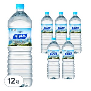 가야산천년수, 2L, 12개