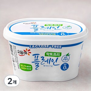 요플레 빙그레 플레인 화이트 락토프리, 430g, 2개