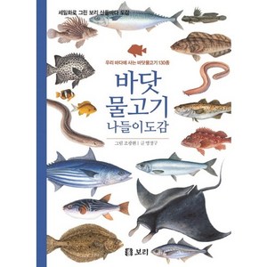 바닷물고기 나들이도감:우리 바다에 사는 바닷물고기 130종, 보리, 명정구 글/조광현 그림