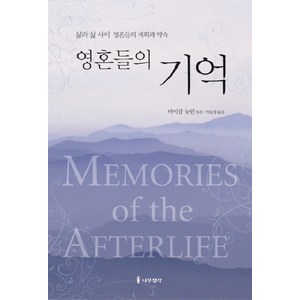 영혼들의 기억:삶과 삶 사이 영혼들의 계획과 약속, 나무생각, 마이클 뉴턴 저/박윤정 역