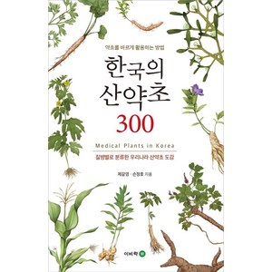 한국의 산약초 300:약초를 바르게 활용하는 방법, 이비락, 제갈영손정호