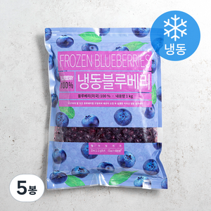 딜라잇가든 냉동 블루베리 (냉동), 1kg, 5봉