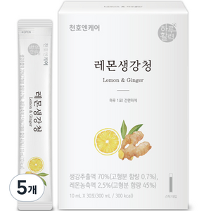 하루활력 레몬생강청 30포, 300ml, 5개