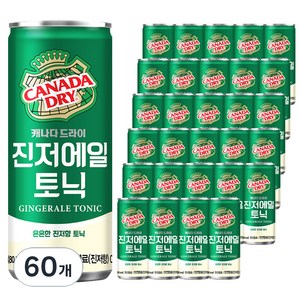 캐나다드라이 진저에일 토닉, 60개, 250ml