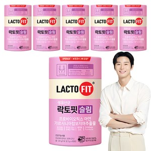 락토핏 슬림 60p, 120g, 6개
