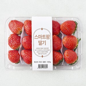 스마트팜 설향 딸기, 1개, 500g