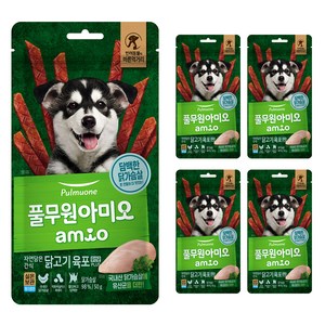 풀무원아미오 자연담은 간식 닭고기 육포 유산균 PLUS, 닭가슴살, 50g, 5개