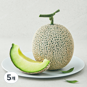 곰곰 얼스멜론, 1kg, 5개