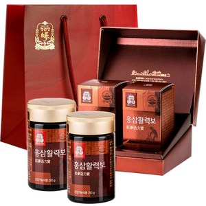 정관장 홍삼활력보, 250g, 2개