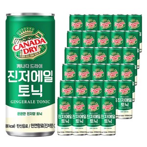 캐나다드라이 진저에일 토닉, 250ml, 30개