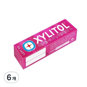 롯데자일리톨 츄잉껌 W, 24g, 6개