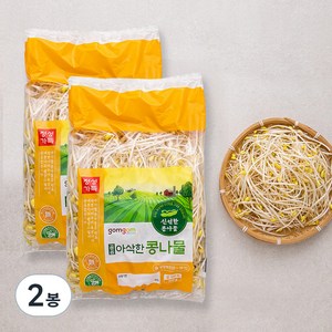 곰곰 아삭한 콩나물, 500g, 2봉