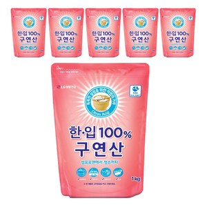 한입 100% 구연산, 1kg, 6개