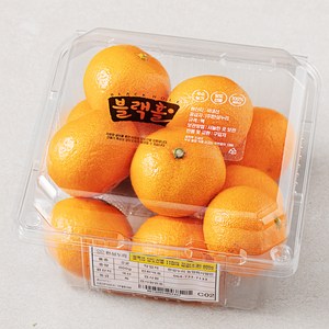 블랙홀 당도선별 11bix 감귤 (소과), 800g(소과), 1개