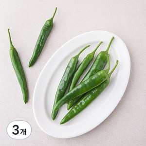 국내산 유기농 오이고추, 300g, 3개