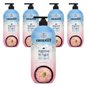 오가니스트 히말라야 핑크솔트 풍성한 거품 산뜻한 바디워시 민트향, 900g, 5개