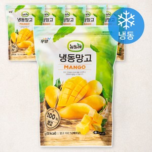 뉴뜨레 냉동 망고 다이스 베트남산, 1kg, 6개