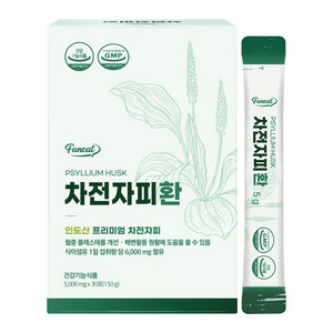 퍼니트 차전자피환 30p, 1개, 150g