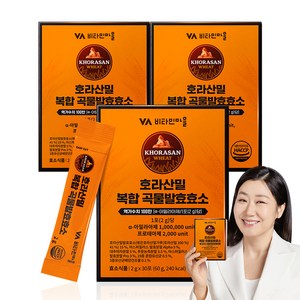 비타민마을 100만 역가수치 호라산밀 복합 곡물발효효소 30p, 2g, 3개