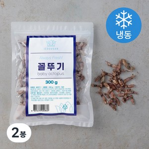 이어수산 꼴뚜기 (냉동), 300g, 2봉