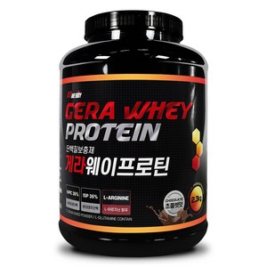 메이크바디 헬스 단백질 보충제 게라 웨이프로틴 초코맛, 2.3kg, 1개