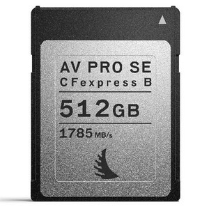 엔젤버드 메모리카드 AV PRO CFexpress SE Type B, 512GB, 1개