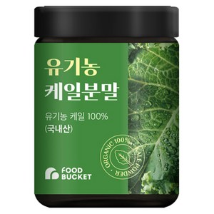 푸드버킷 유기농 케일분말, 100g, 1개