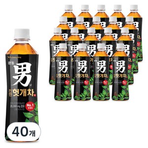 광동진한헛개차, 500ml, 40개